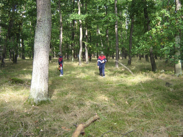 L0752.jpg