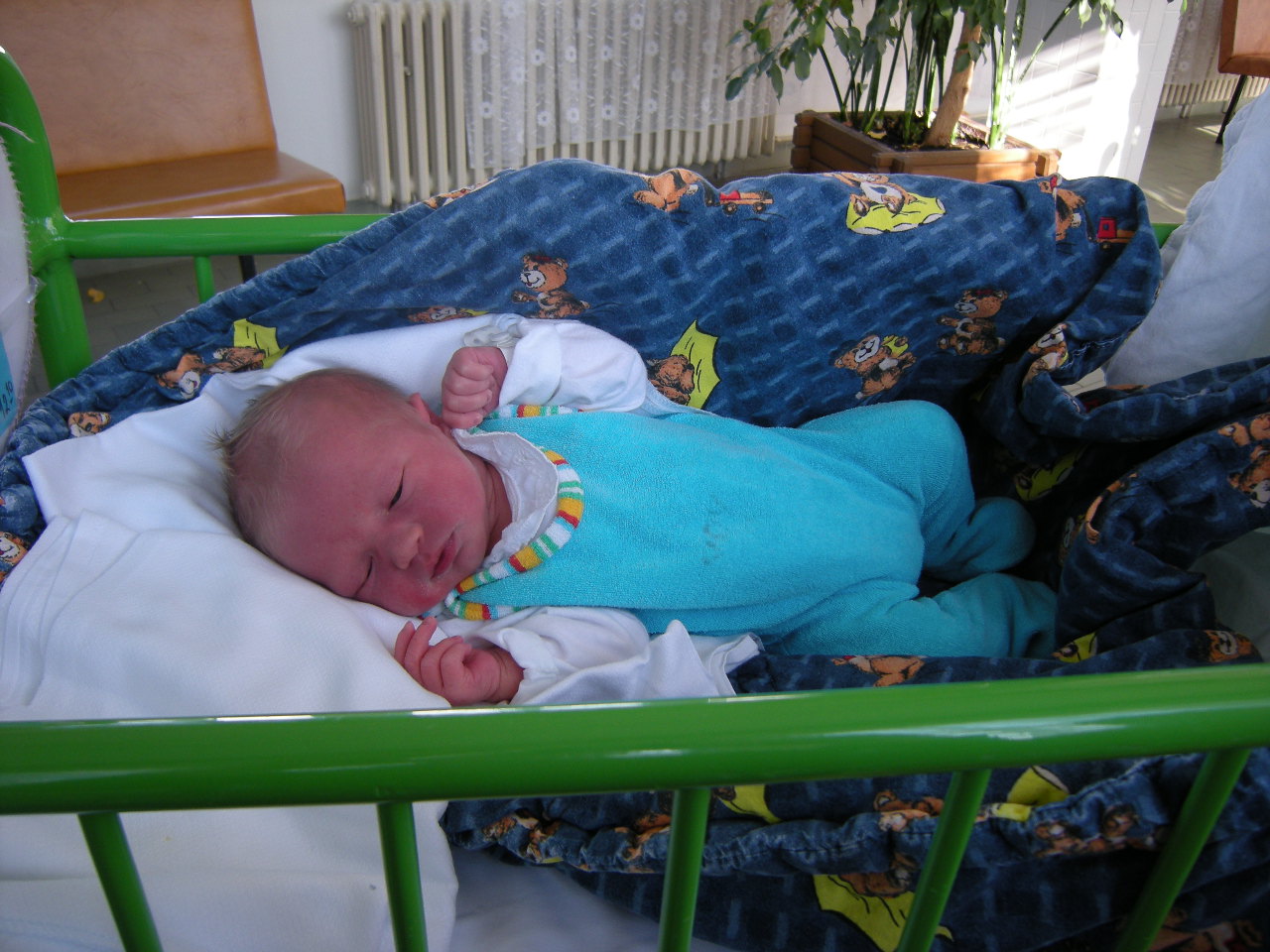 Tomášek